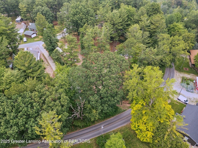 8511 W Easy St, Mears, MI 49436