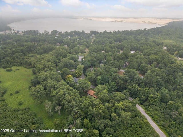 8511 W Easy St, Mears, MI 49436