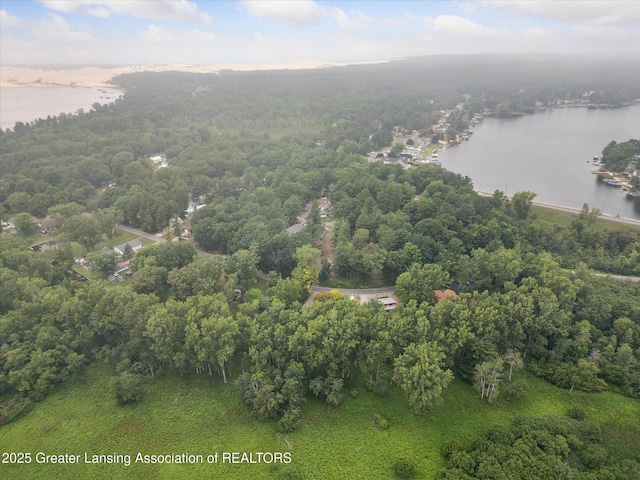 8511 W Easy St, Mears, MI 49436