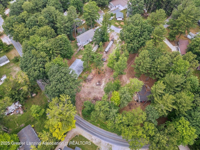 8511 W Easy St, Mears, MI 49436
