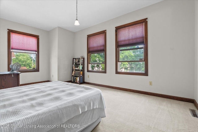 925 W Ionia St, Lansing, MI 48915 - photo 21