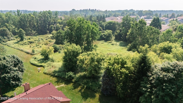1621 Willow Creek Dr, Lansing, MI 48917 - aerial view