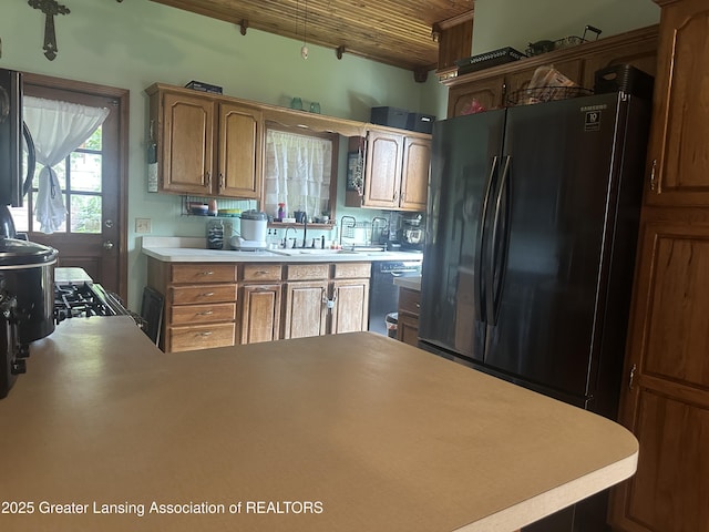 116 E Elm St, Mason, MI 48854 - photo 22