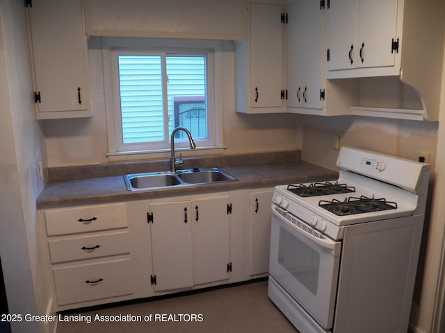 1336 N Chestnut St, Lansing, MI 48906 - photo 7