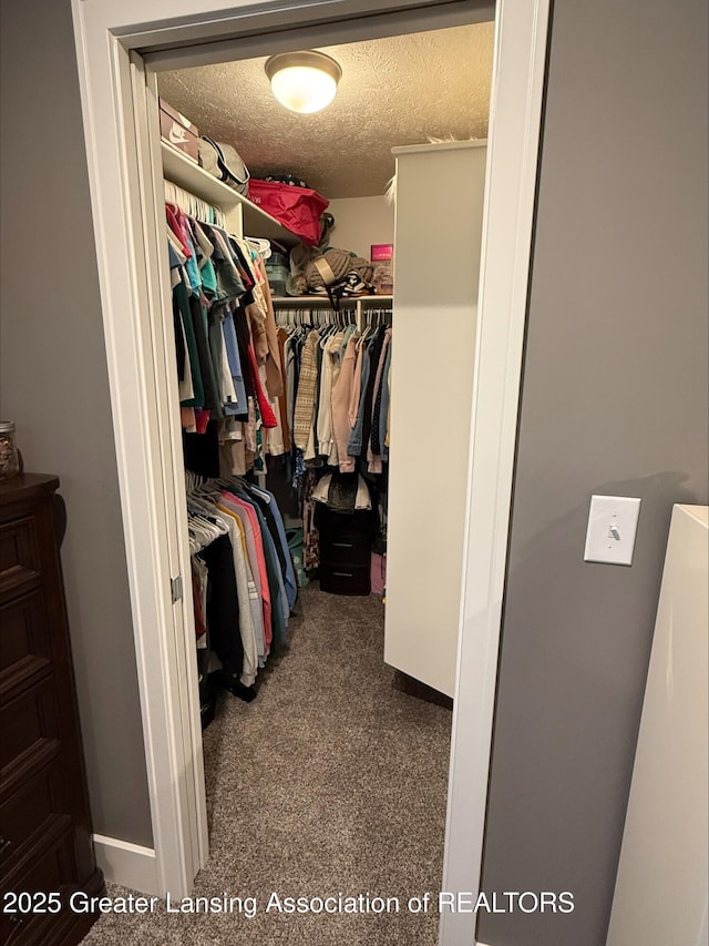 1472 Badlands Dr, Lansing, MI 48917 - photo 18