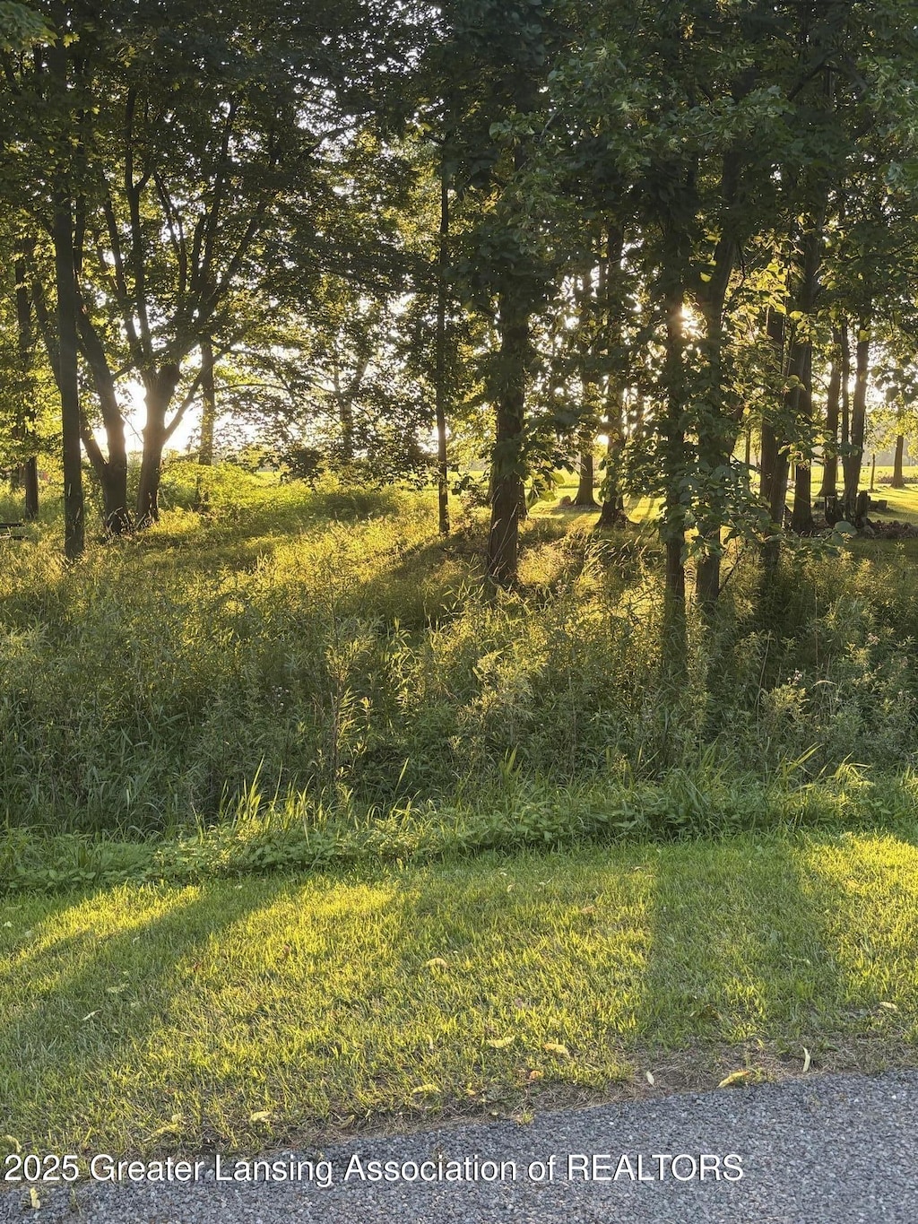 0 Oakridge Trl, Perrinton, MI 48871 - photo 2