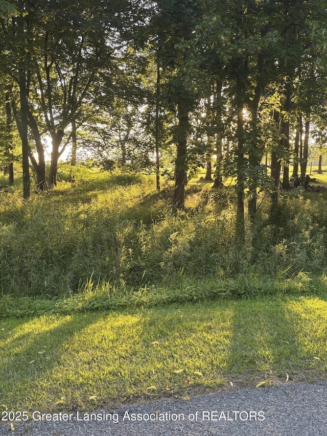 0 Oakridge Trl, Perrinton, MI 48871 - photo 2