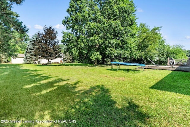 13160 Shadybrook Ln, Dewitt, MI 48820 - photo 33