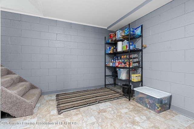 13160 Shadybrook Ln, Dewitt, MI 48820 - photo 24