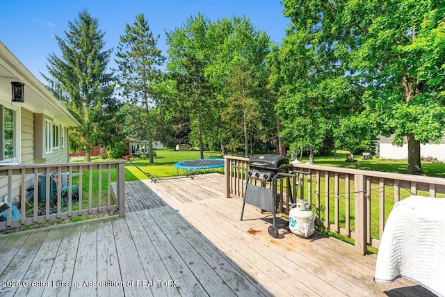 13160 Shadybrook Ln, Dewitt, MI 48820 - photo 31