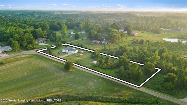 9966 Bauer Rd, Dewitt, MI 48820 - photo 41