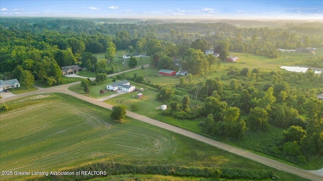 9966 Bauer Rd, Dewitt, MI 48820 - photo 42