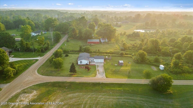 9966 Bauer Rd, Dewitt, MI 48820 - photo 4