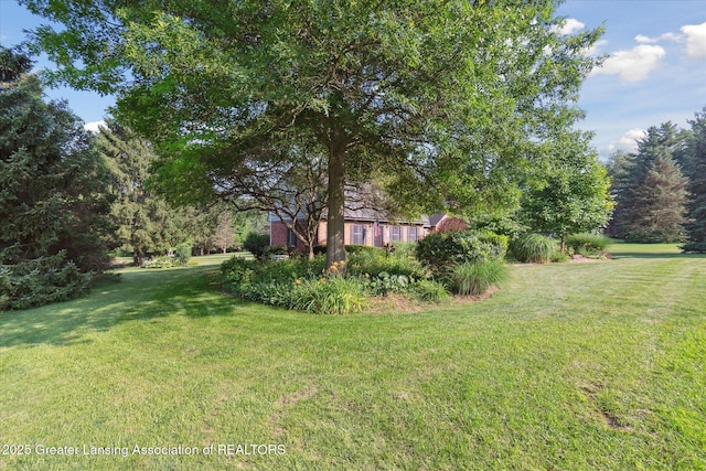 9303 Blueberry Ct, Howell, MI 48843 - view of grassy yard