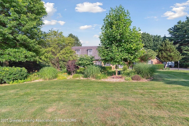 9303 Blueberry Ct, Howell, MI 48843 - view of green lawn