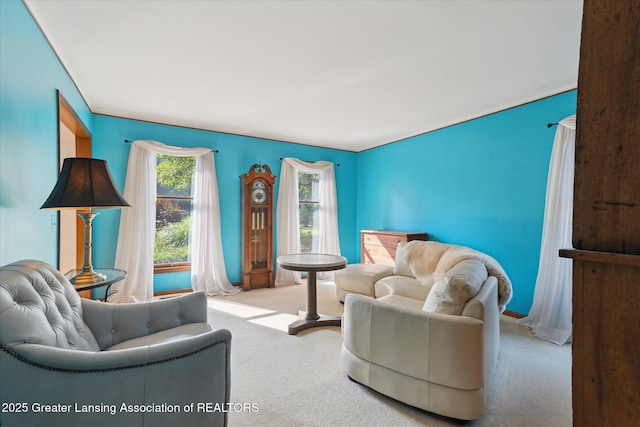 9303 Blueberry Ct, Howell, MI 48843 - view of carpeted living area
