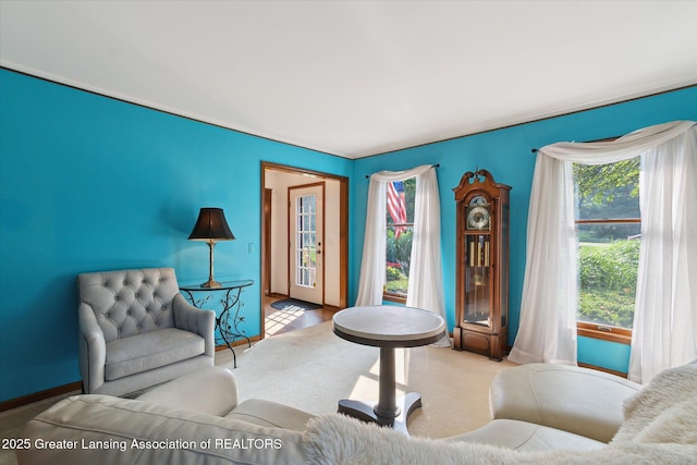 9303 Blueberry Ct, Howell, MI 48843 - view of living area