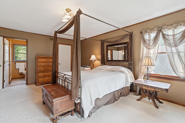 9303 Blueberry Ct, Howell, MI 48843 - bedroom with carpet, ornamental molding, and ensuite bath