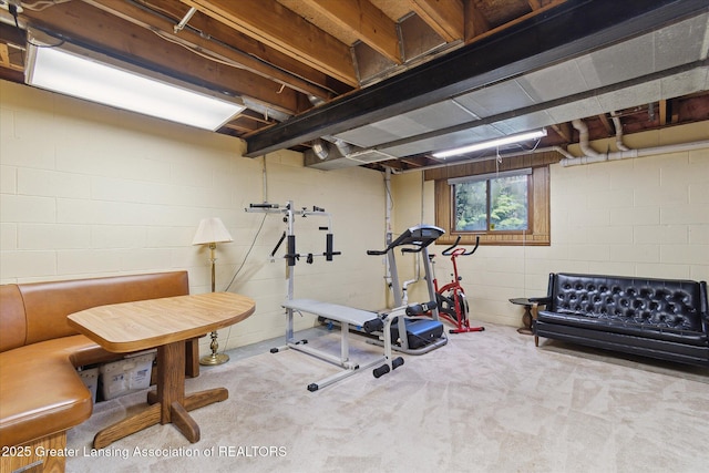 9303 Blueberry Ct, Howell, MI 48843 - workout area with concrete block wall