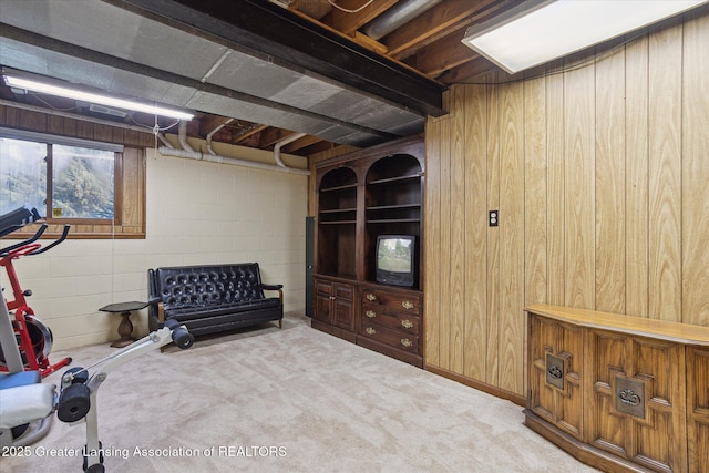 9303 Blueberry Ct, Howell, MI 48843 - workout room with carpet flooring and wooden walls