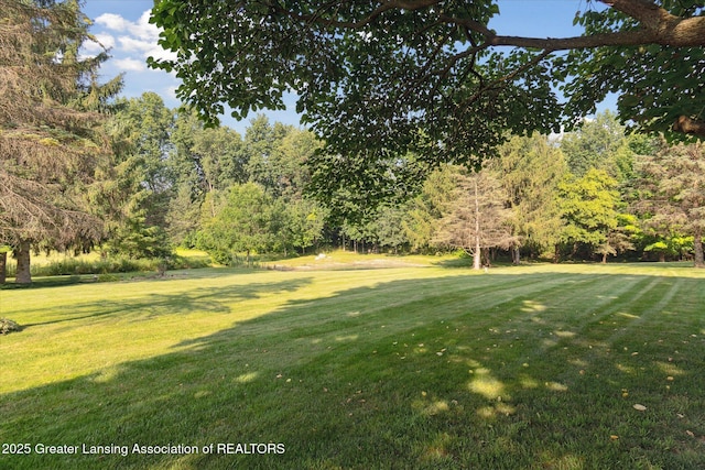 9303 Blueberry Ct, Howell, MI 48843 - view of grassy yard