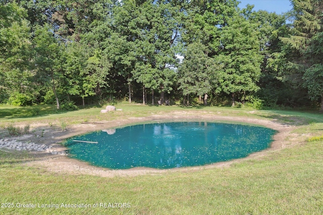 9303 Blueberry Ct, Howell, MI 48843 - view of pool featuring a yard