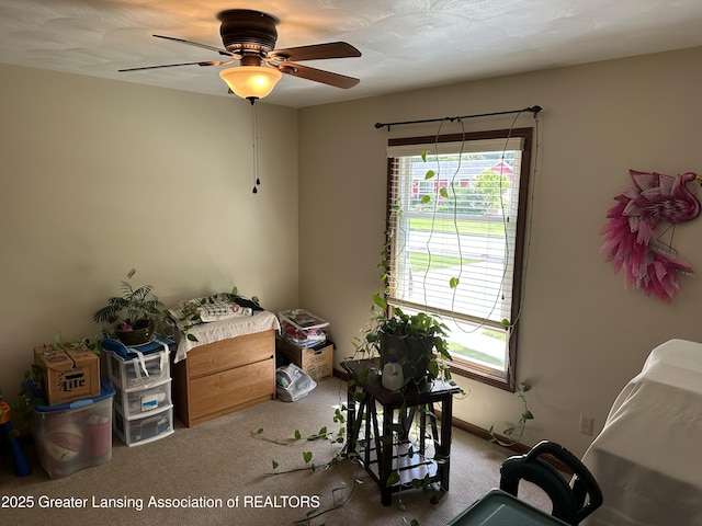 2611 Renfrew Way, Lansing, MI 48911 - photo 9