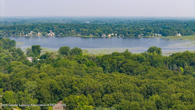 15507 Webster Rd, Bath, MI 48808 - photo 21