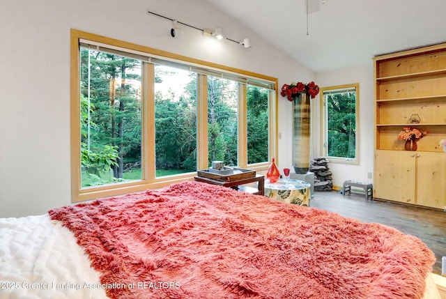 2315 Hamilton Rd, Okemos, MI 48864 - bedroom featuring track lighting, wood finished floors, and vaulted ceiling