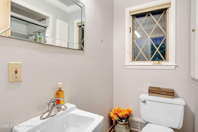 2315 Hamilton Rd, Okemos, MI 48864 - bathroom with a sink and ornamental molding