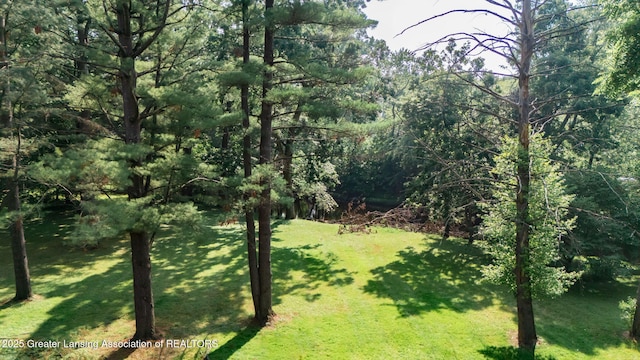 2315 Hamilton Rd, Okemos, MI 48864 - view of green lawn featuring a wooded view