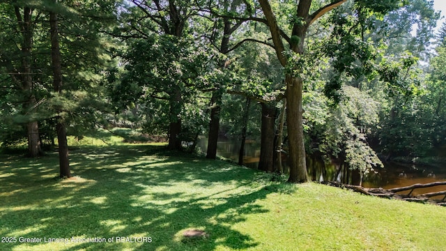 2315 Hamilton Rd, Okemos, MI 48864 - view of grassy yard