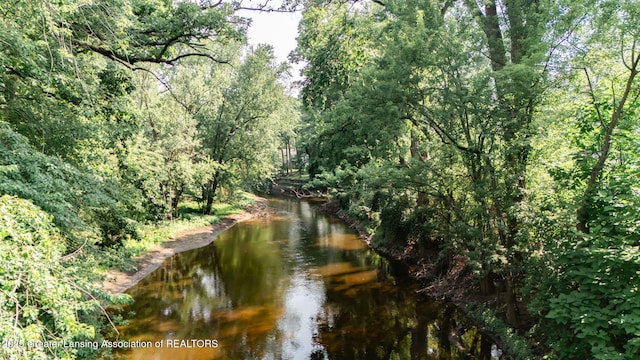 2315 Hamilton Rd, Okemos, MI 48864 - water view with a heavily wooded area
