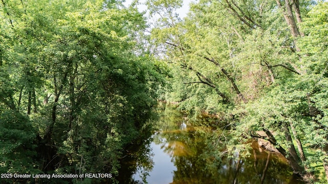 2315 Hamilton Rd, Okemos, MI 48864 - water view with a forest