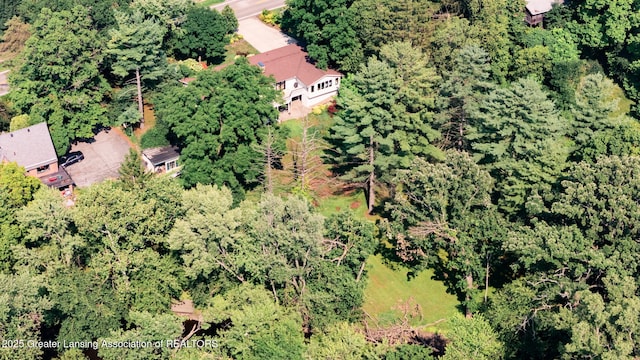 2315 Hamilton Rd, Okemos, MI 48864 - aerial overview of property's location