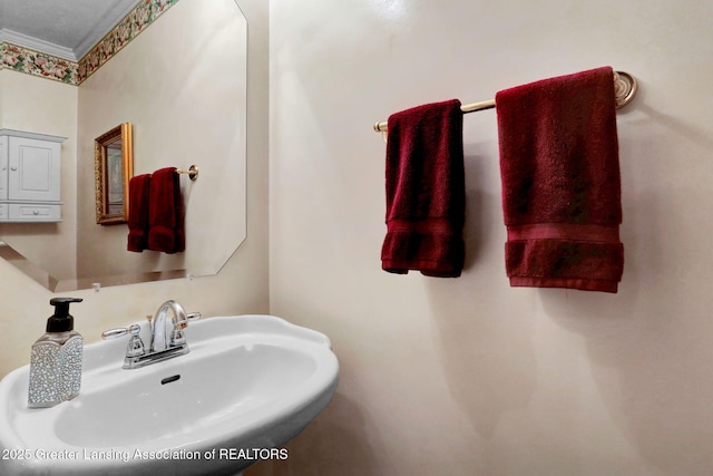 2469 Brookview Ln, Dewitt, MI 48820 - photo 23