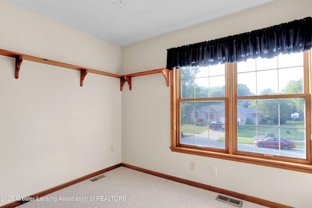 2469 Brookview Ln, Dewitt, MI 48820 - photo 33