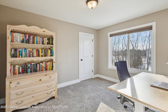 4526 Bison Dr, Holt, MI 48842 - photo 28