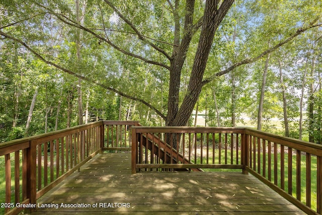 4526 Bison Dr, Holt, MI 48842 - photo 30