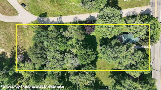 4327 Willoughby Rd, Holt, MI 48842 - photo 38