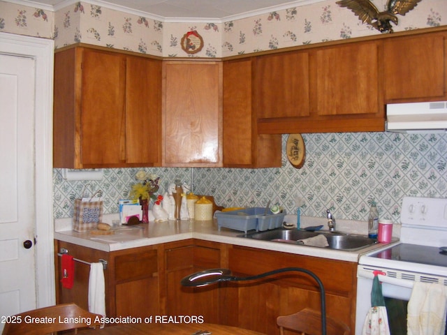 1002 Water St, Eaton Rapids, MI 48827 - kitchen with white range with electric cooktop, light countertops, under cabinet range hood, brown cabinetry, and ornamental molding