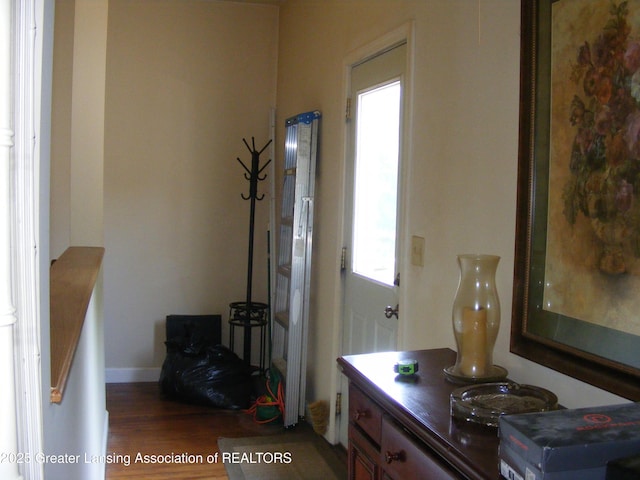 1002 Water St, Eaton Rapids, MI 48827 - foyer entrance with wood finished floors and baseboards