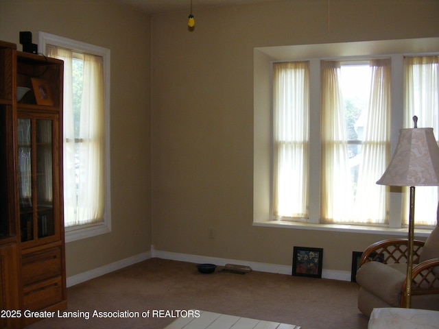 1002 Water St, Eaton Rapids, MI 48827 - sitting room with carpet flooring and plenty of natural light