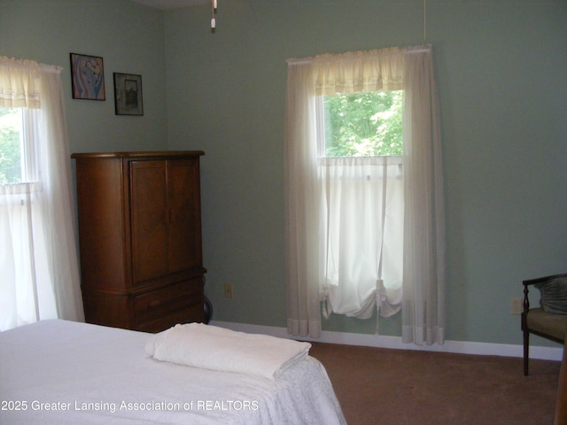 1002 Water St, Eaton Rapids, MI 48827 - carpeted bedroom with baseboards