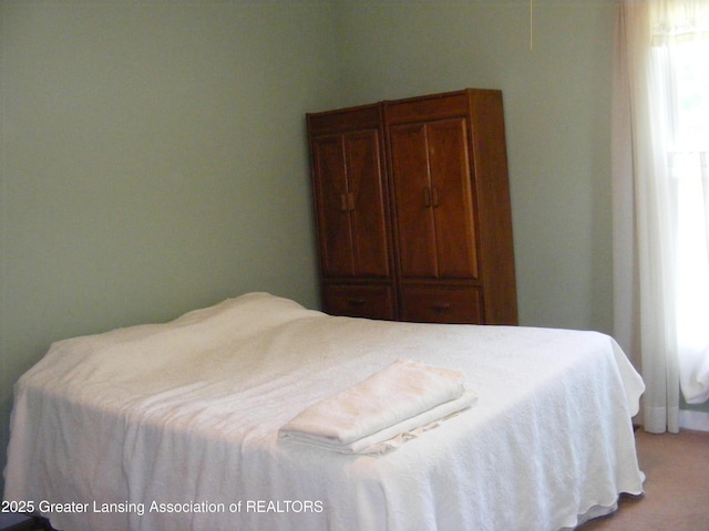 1002 Water St, Eaton Rapids, MI 48827 - view of bedroom