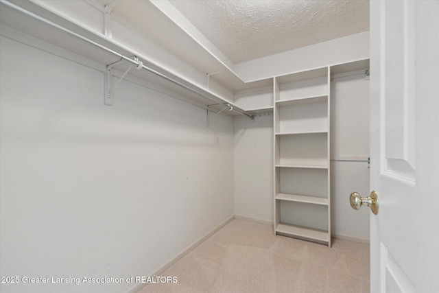 2396 Sapphire Ln, East Lansing, MI 48823 - photo 22