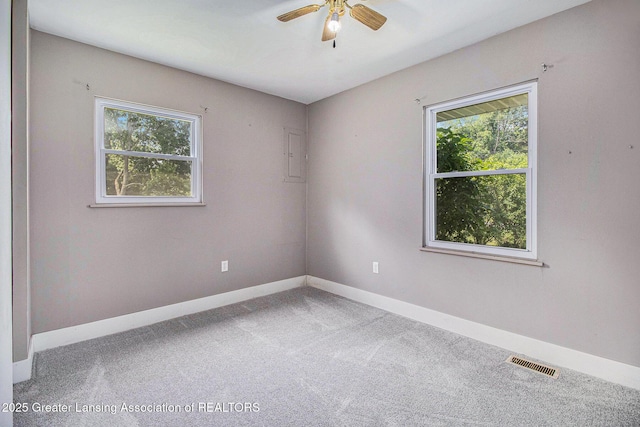 522 Oakdale Rd, Hastings, MI 49058 - photo 24