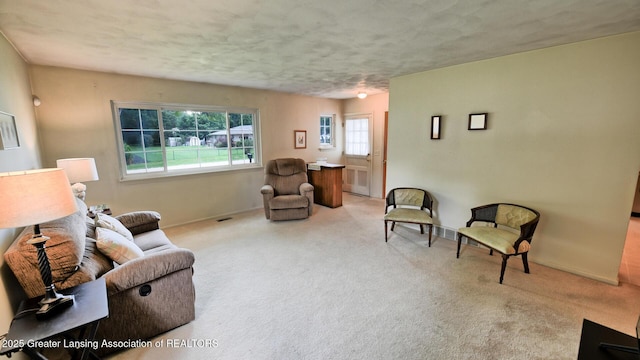 2835 Fontaine Trl, Holt, MI 48842 - photo 4