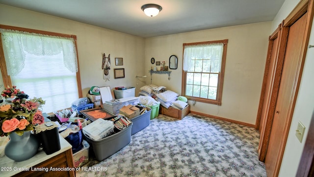 11678 E Grand River Ave, Portland, MI 48875 - photo 22