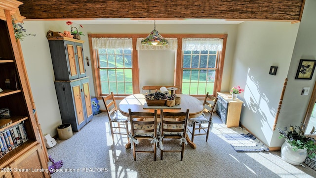 11678 E Grand River Ave, Portland, MI 48875 - photo 28